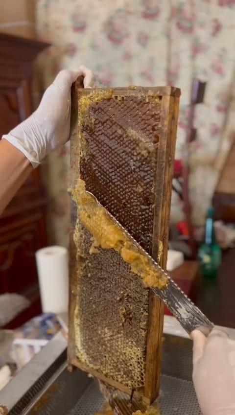 Désoperculation manuelle au couteau